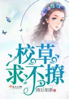 你是我的初心难解